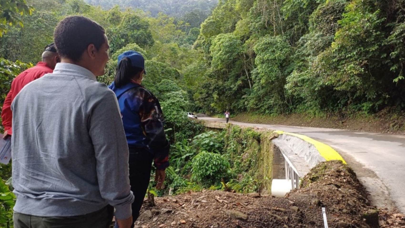 Aragua (15)