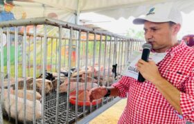 Plan Produce tu Conuco fortalece soberanía alimentaria en Guárico