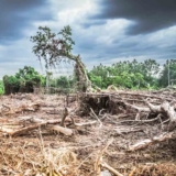 cambio-climatico