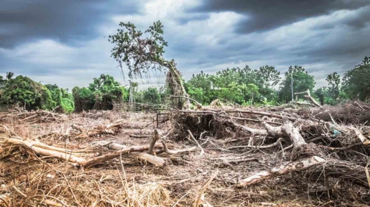 cambio-climatico