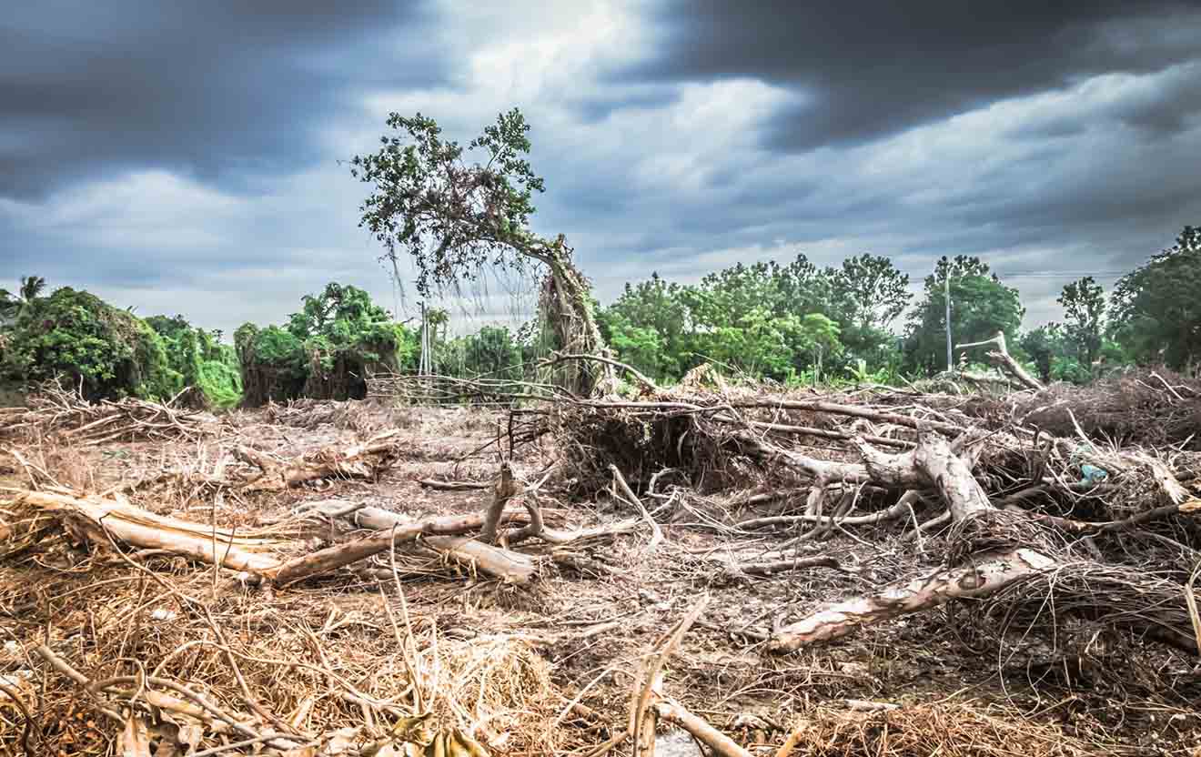 cambio-climatico