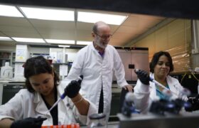 Avances en estudio de blancos moleculares para controlar la tripanosomosis en animales