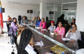 Comisión de Familias de la AN revisa proyecto de ley sobre protección de niños en entornos virtuales