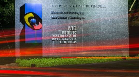 ivic (9)