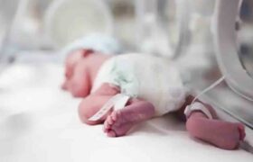 La natalidad en España se desploma casi 25% en la última década