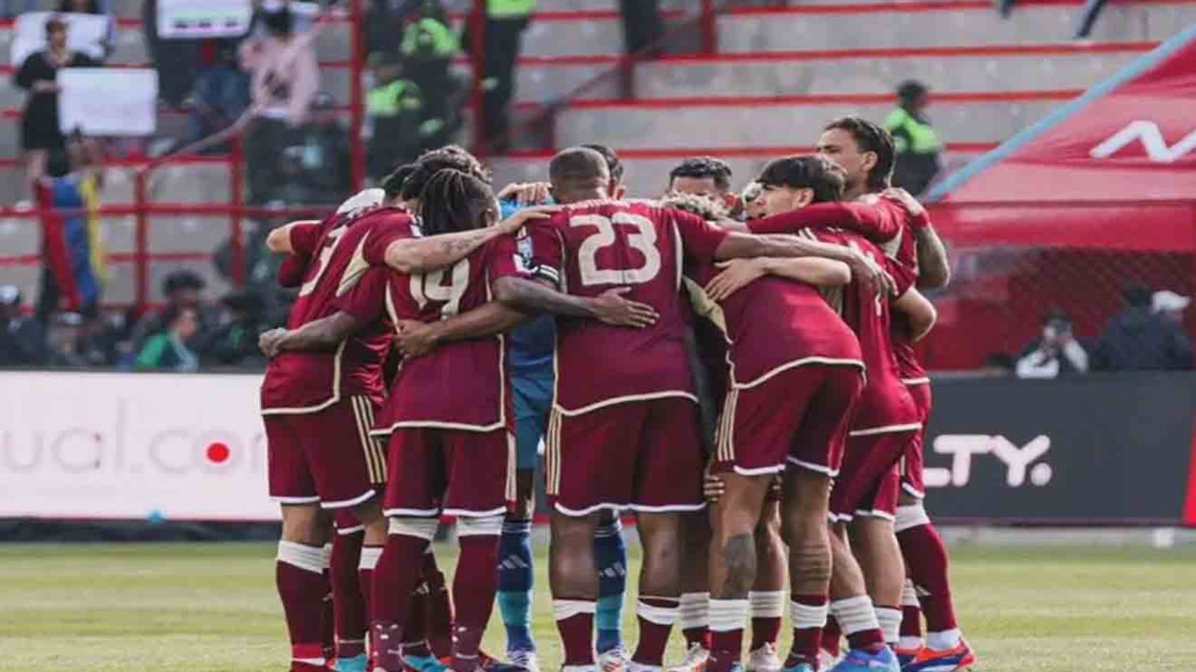 vinotinto