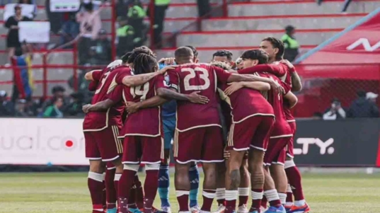vinotinto