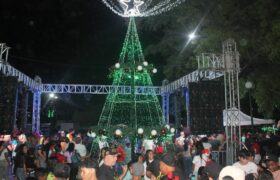 Guareneros le dieron bienvenida a la Navidad con encendido de luces