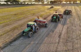 Inicia preparación de siembra de arroz en Guárico