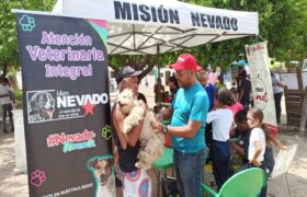 Misión Nevado supera 40 mil esterilizaciones de gatos y perros en 2024