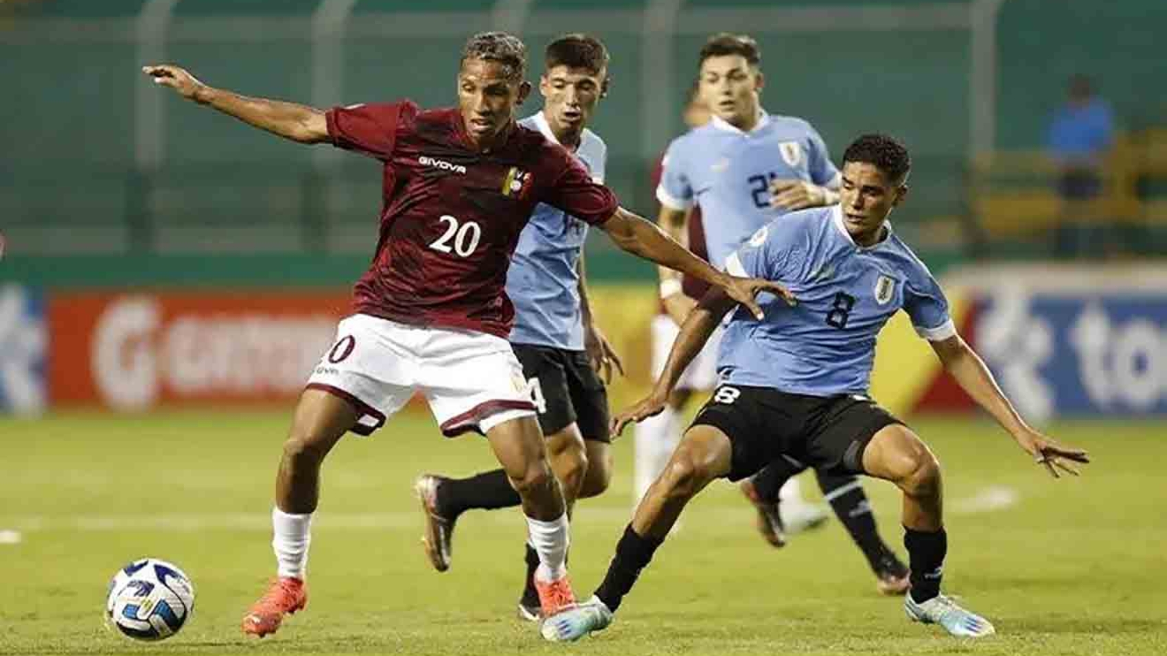 VINOTINTO