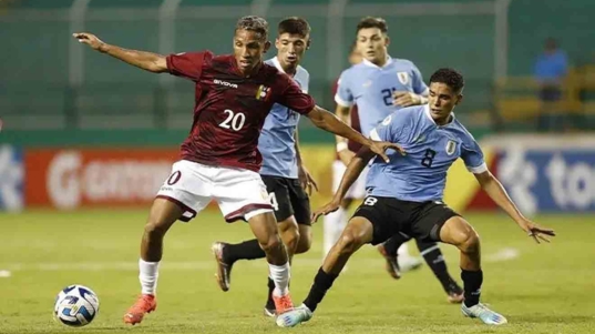 VINOTINTO