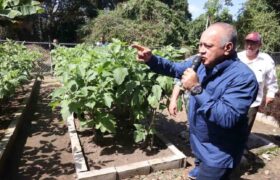 Cabello instó a los revolucionarios y a las revolucionarias a estar alerta ante planes de la derecha