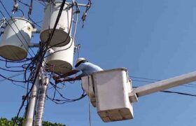 Corpoelec desplegará jornada de mantenimiento en la red eléctrica del estado Miranda