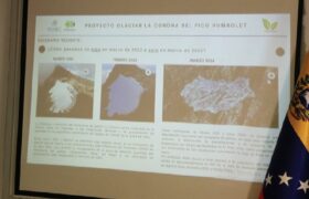 Presentan avances sobre la protección del Glaciar La Corona en el Humboldt