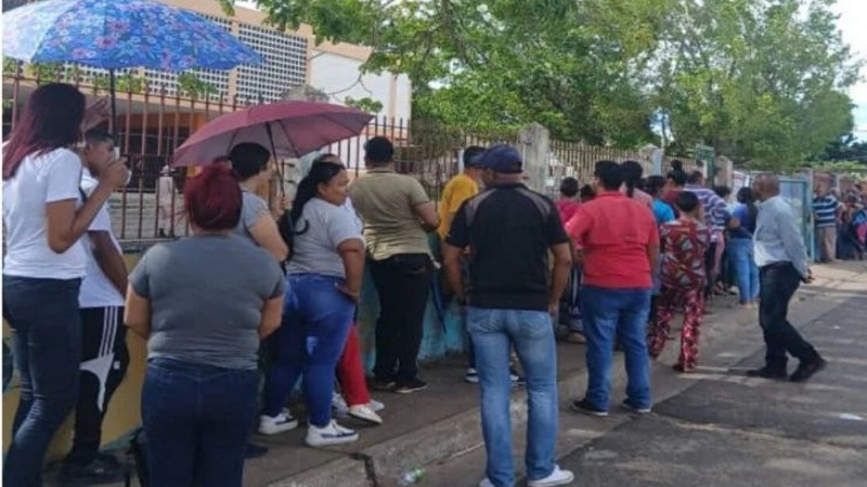 jueces y juezas de Paz