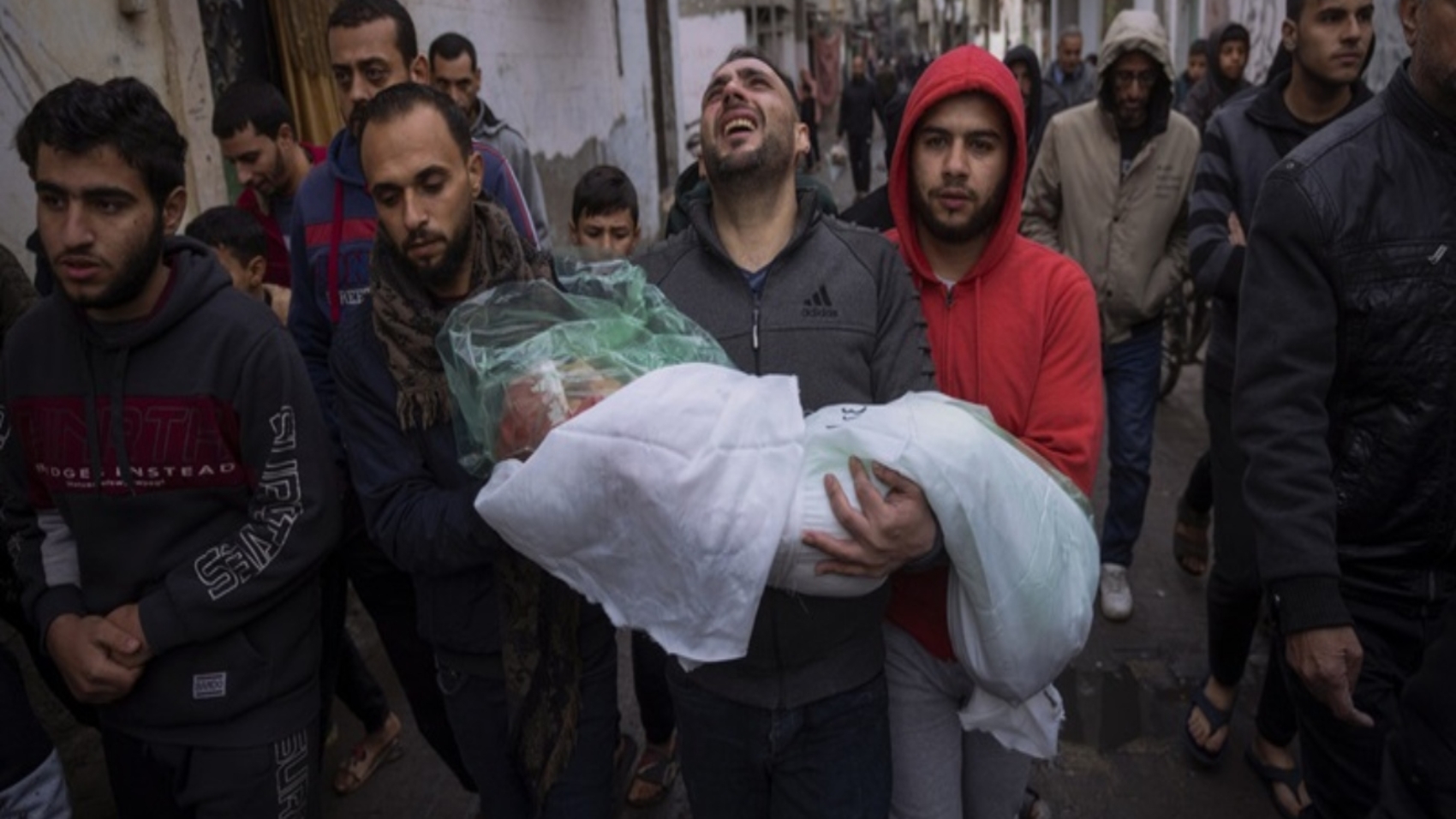 palestina