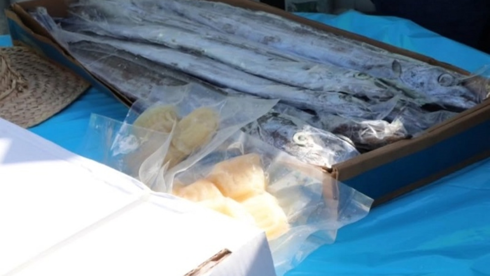 productos pesqueros