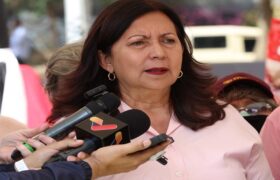 Caracas habilita 300 centros electorales para comicios de este 2-F