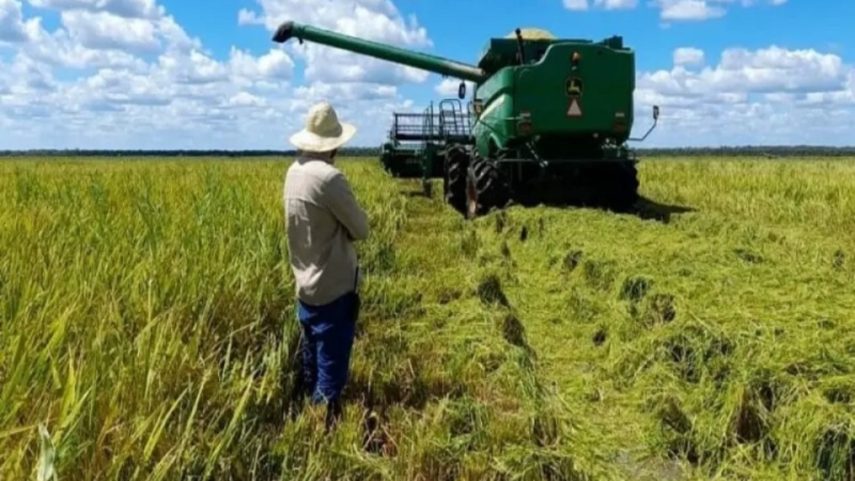 Guárico (23)