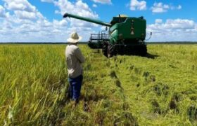 Desarrollo agrícola y pecuario se consolida en el estado Guárico