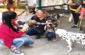 Misión Nevado Mérida triplicará esfuerzos de protección animal en 2025