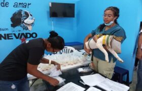 Más de 2 mil mascotas atendidas en el municipio Paz Castillo