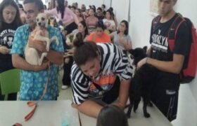 Más de 83 mil mascotas fueron atendidas en 2024 por el Movimiento Futuro Animalista