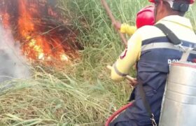 Bomberos de Caracas se preparan para período de sequía