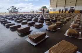 FANB decomisa 5.000 kilos de droga en el estado Amazonas