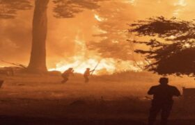 Incendios forestales en Argentina arrasan con más de 20 mil hectáreas