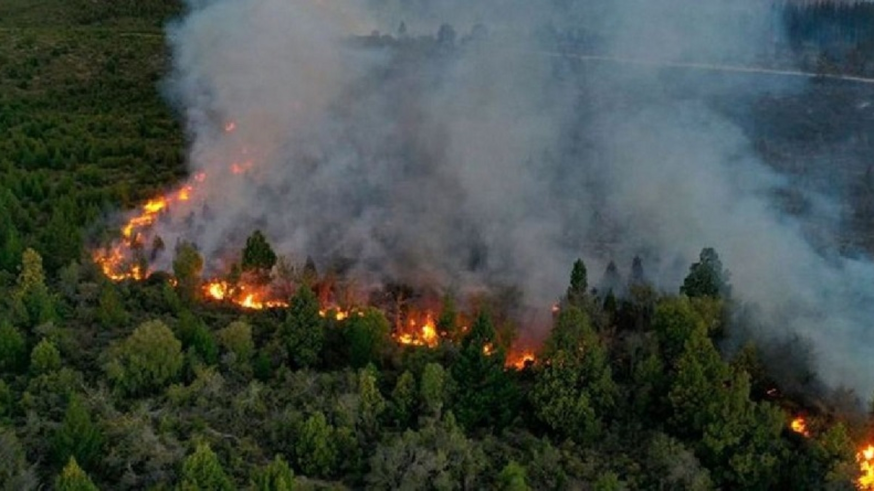 incendios-66da0f2eb1561