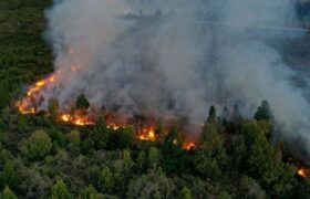 Incendios en Argentina dejan más de mil personas evacuadas