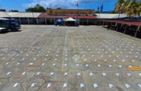 GNB da golpe al narcotráfico con incautación de más de 790 kg de drogas en Sucre