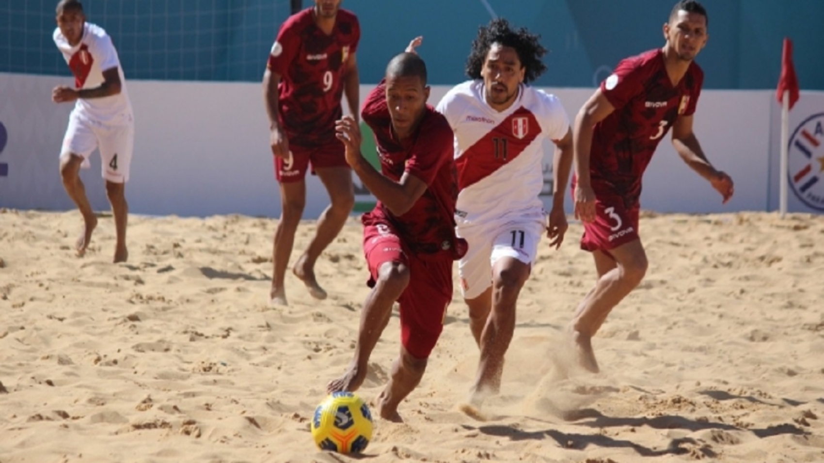vinotinto-1