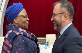 Canciller Yván Gil es recibido por presidenta de Namibia previo a su investidura