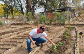 Cultivos alimenticios de Escuela Creación San Carlos reciben control fitosanitario