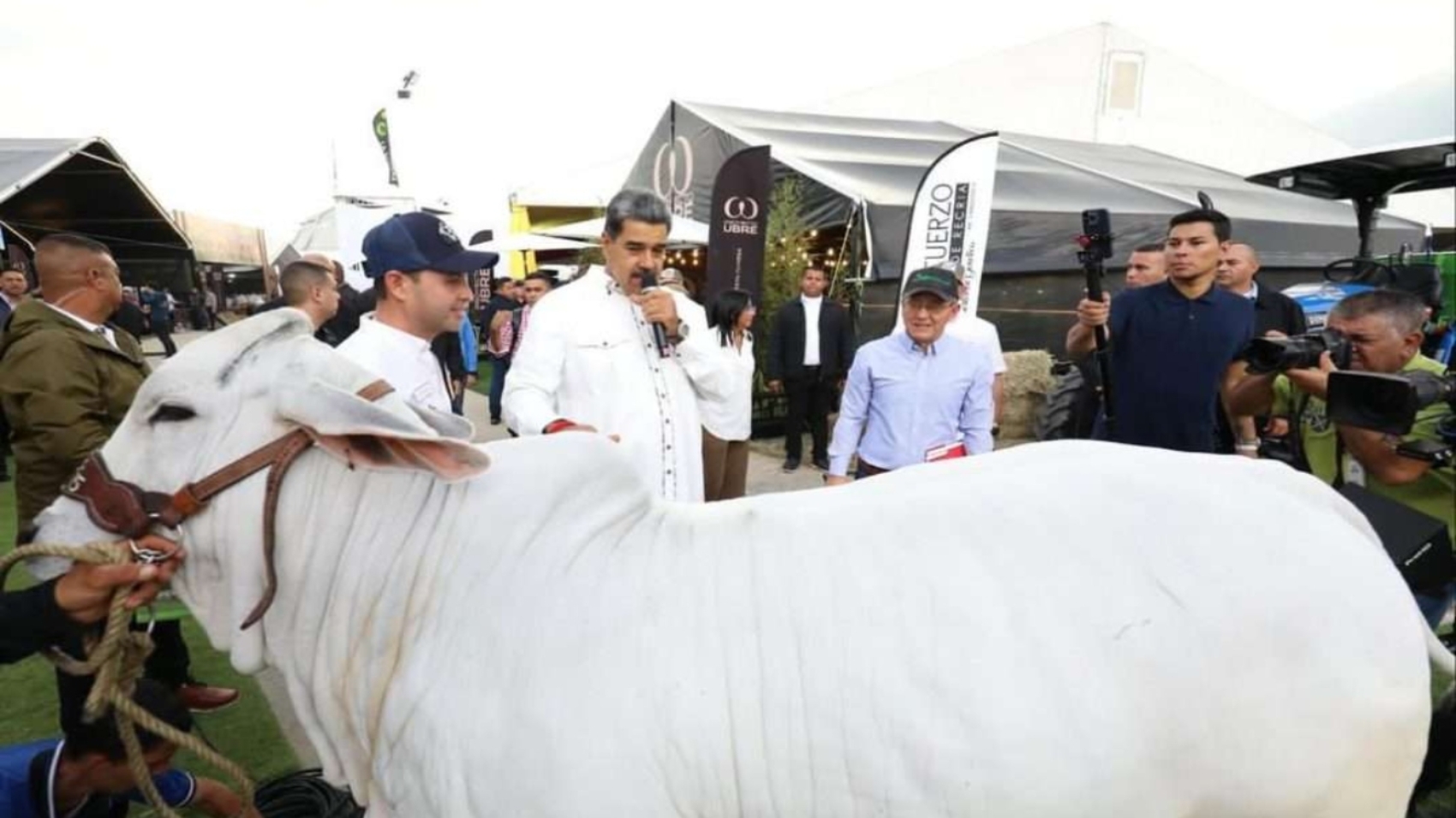 Maduro (7)