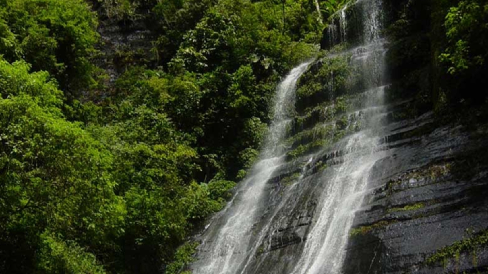 Monagas (3)
