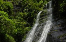 Rutas turísticas en Monagas dinamizan economía de la región