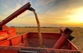 Soberanía alimentaria se fortalece con incremento de producción en el país