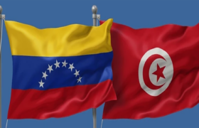Venezuela y Túnez afianzan relaciones de cooperación y hermandad