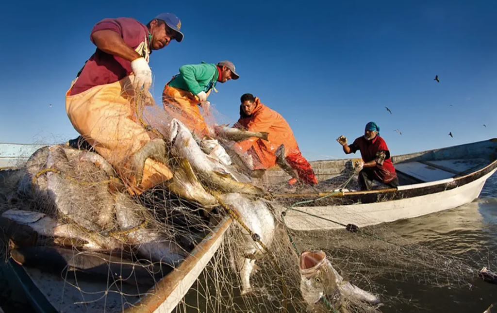 Venezuela- Pesca-artesanal