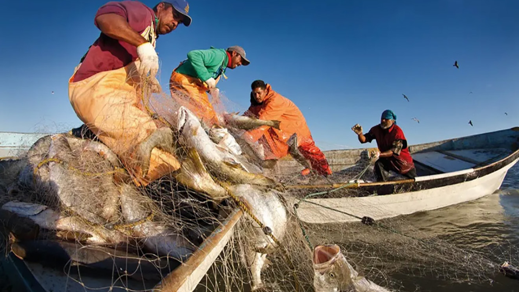 Venezuela- Pesca-artesanal