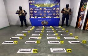 Incautan 34 kilogramos de cocaína en el estado Apure