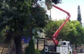 Fuerza obrera ejecuta mantenimiento preventivo a red eléctrica de Táchira