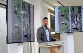 Evalúan reducción de riesgos a la fauna local por tráfico aéreo en Caracas