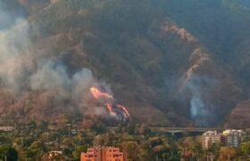 Más de 20 incendios de vegetación se han registrado en el país