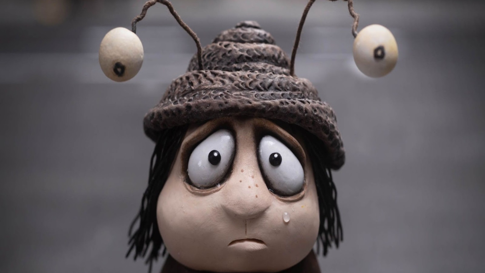 memoriasdeun caracol (1)