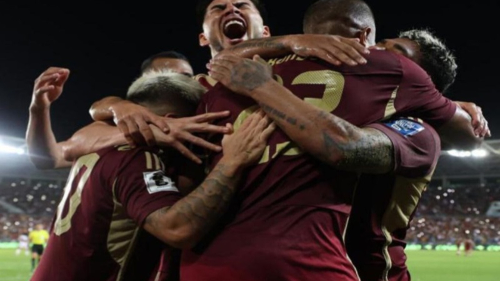 vinotinto (1)